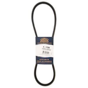 A169970 - Belt