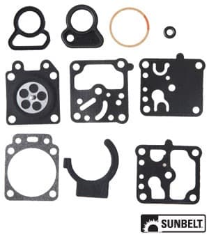 B1WD10WZ - Gasket and Diaphragm Kit - Image 1