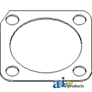 DANAH2246C - Shim, King Pin; .010"