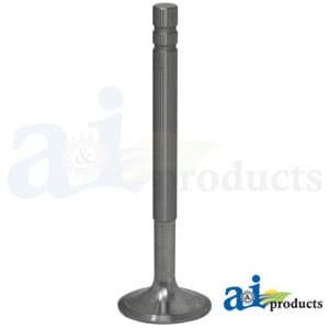 1019742M1 - Valve, Intake - Image 1