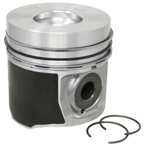 1931002 - Piston W/ Rings; Std - Image 1
