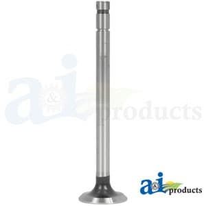 42024D - Valve, Intake