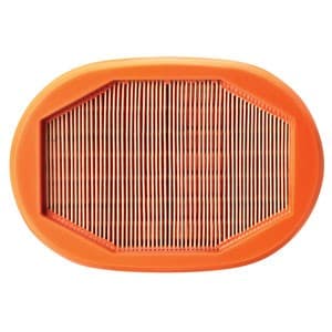 AF26248 - Filter, Air, Secondary (QTY 1)