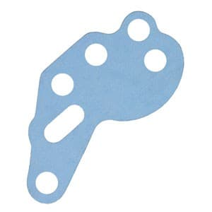 NAA553B - Gasket, Hydraulic Lift Cylinder Housing - Image 1