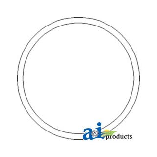 129740 - O-Ring