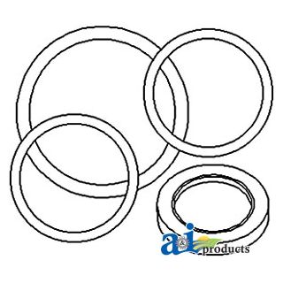 1606890M91 - O'Ring Kit, Power Steering