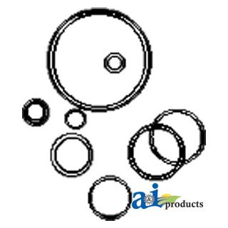 1810417M91 - Steering Pump Kit