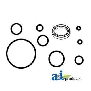 1810437M91 - O'Ring Kit, Power Steering Cylinder