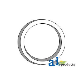 184196M1 - Washer, Pinion, Rear Axle Housing