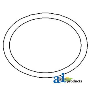 1860838M1 - O-Ring, Rear Axle Housing Carrier Plate