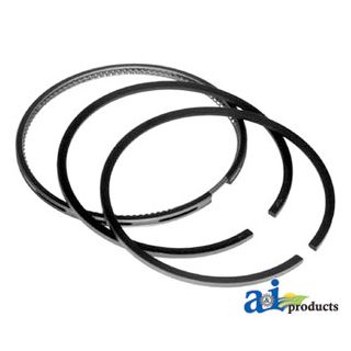 3139594R91 - Rings, Piston