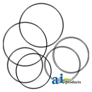 539535R91 - Brake O-Ring Kit, Brake Piston Differential Bearing