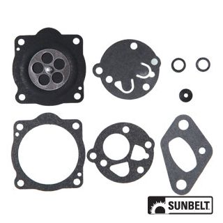 B1CK170 - Gasket and Diaphragm Kit