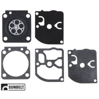 B1GND31 - Gasket and Diaphragm Kit