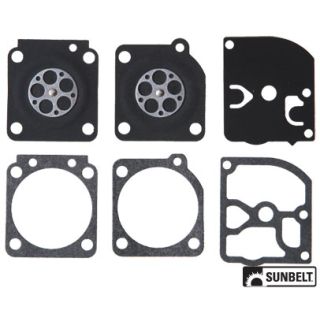 B1GND39 - Gasket and Diaphragm Kit