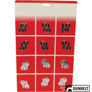 B1SB2938 - Ignition Key