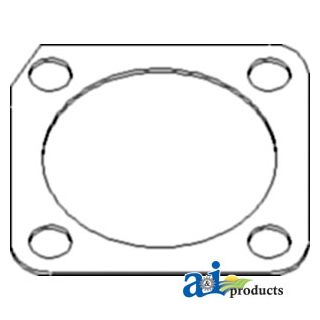 DANAH2246C - Shim, King Pin; .010