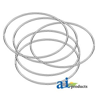 R50704 - Sealing Washer, Brake Disk Assembly