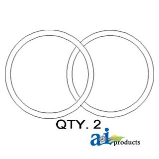 R77401 - O-Ring