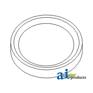 R98063 - Insert, Intake Valve (Std)